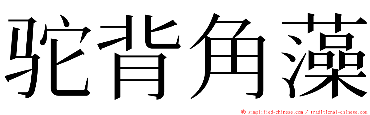 驼背角藻 ming font