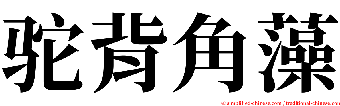 驼背角藻 serif font