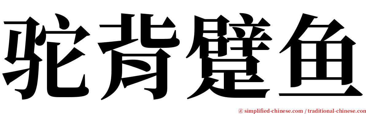 驼背躄鱼 serif font