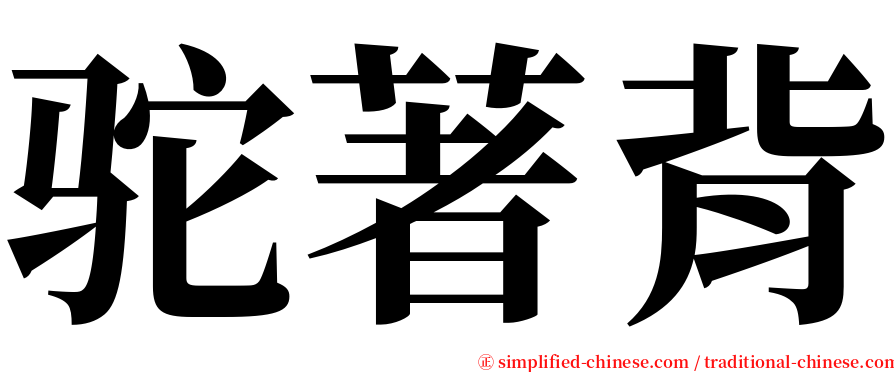 驼著背 serif font