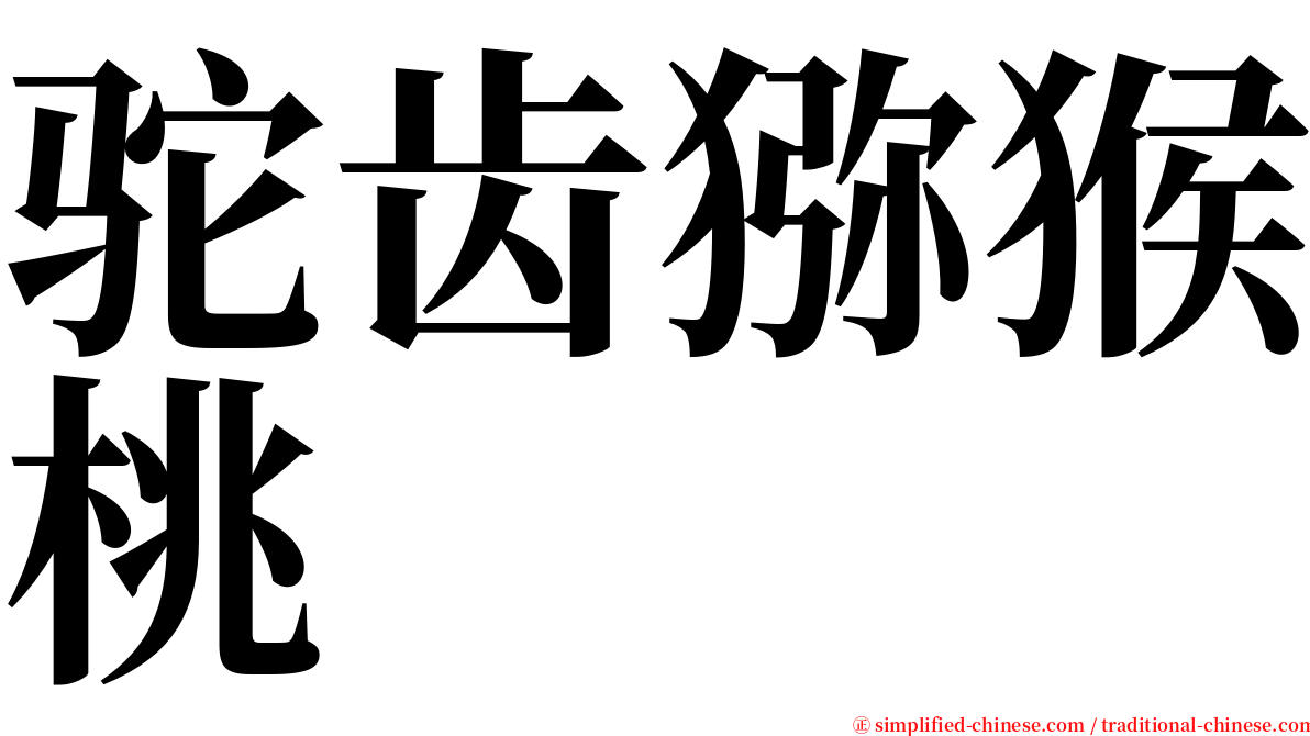 驼齿猕猴桃 serif font