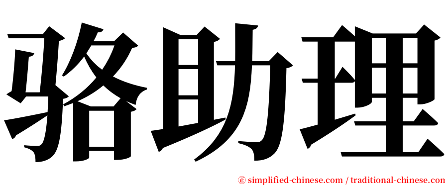 骆助理 serif font