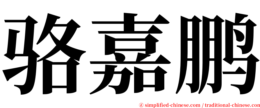 骆嘉鹏 serif font