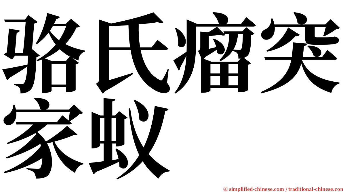 骆氏瘤突家蚁 serif font