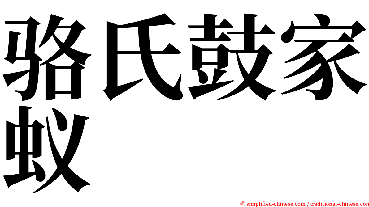 骆氏鼓家蚁 serif font