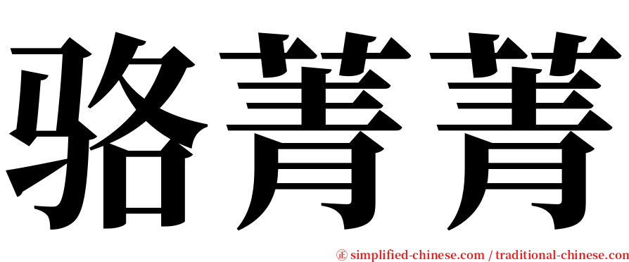 骆菁菁 serif font
