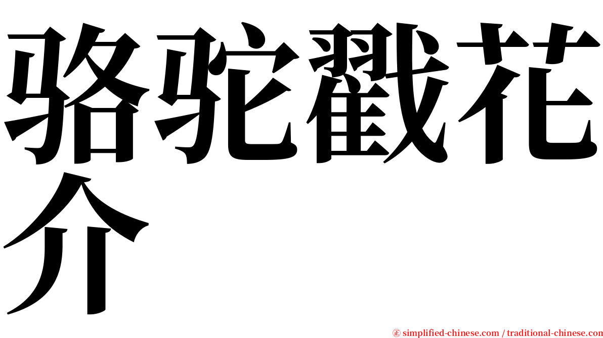 骆驼戳花介 serif font