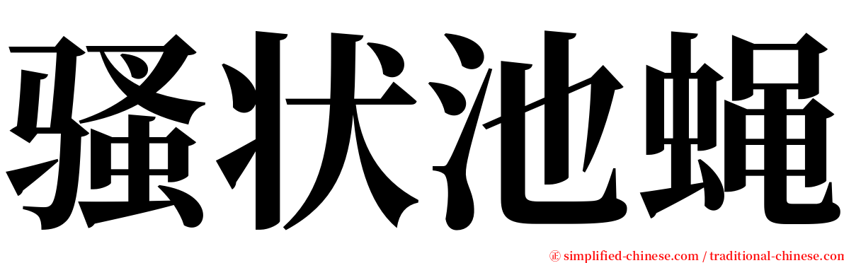 骚状池蝇 serif font