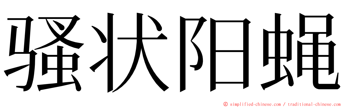 骚状阳蝇 ming font