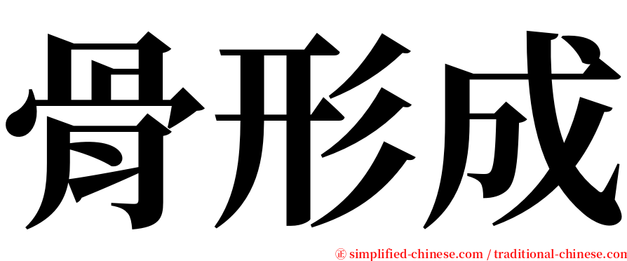 骨形成 serif font