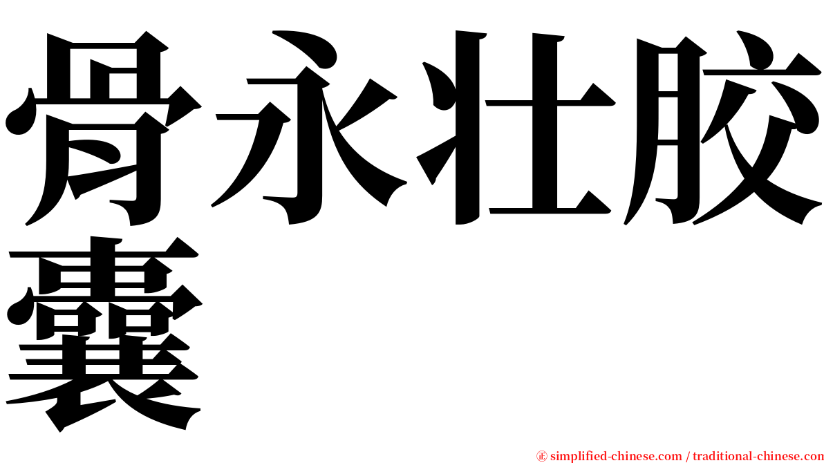骨永壮胶囊 serif font