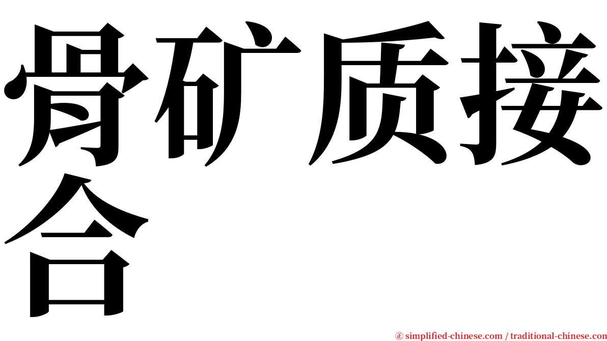 骨矿质接合 serif font