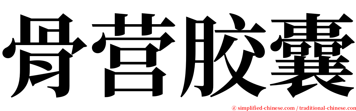 骨营胶囊 serif font