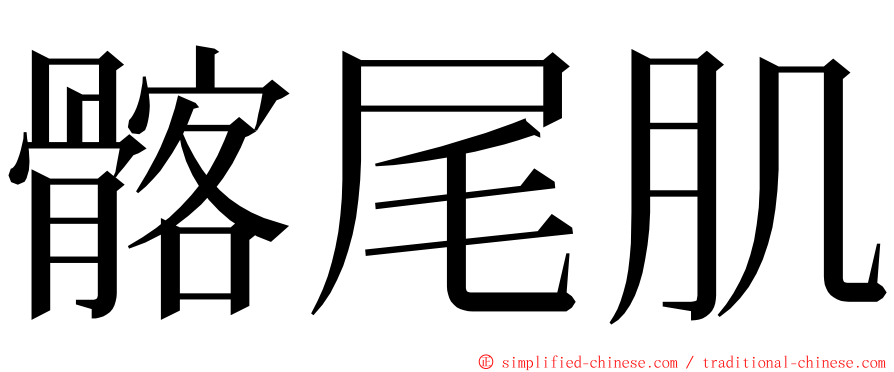 髂尾肌 ming font