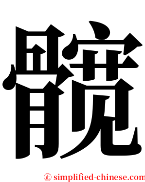 髋 serif font