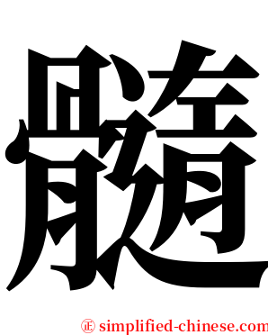 髓 serif font