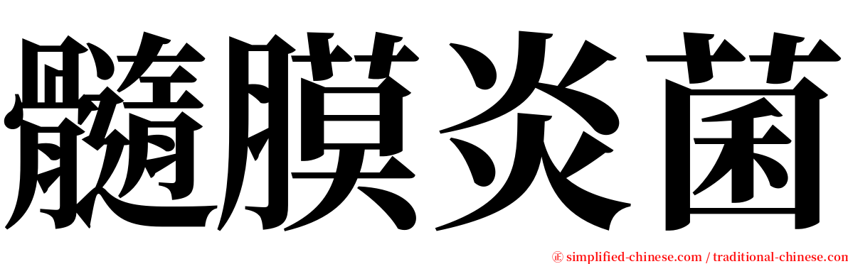 髓膜炎菌 serif font