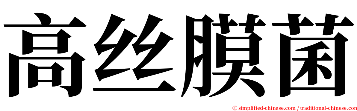 高丝膜菌 serif font