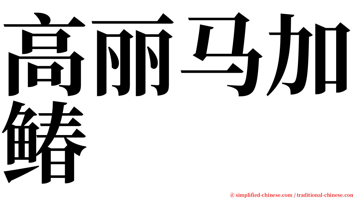 高丽马加䲠 serif font