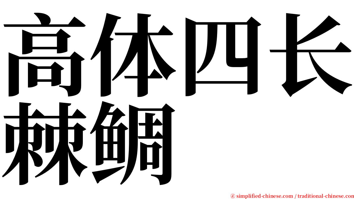 高体四长棘鲷 serif font