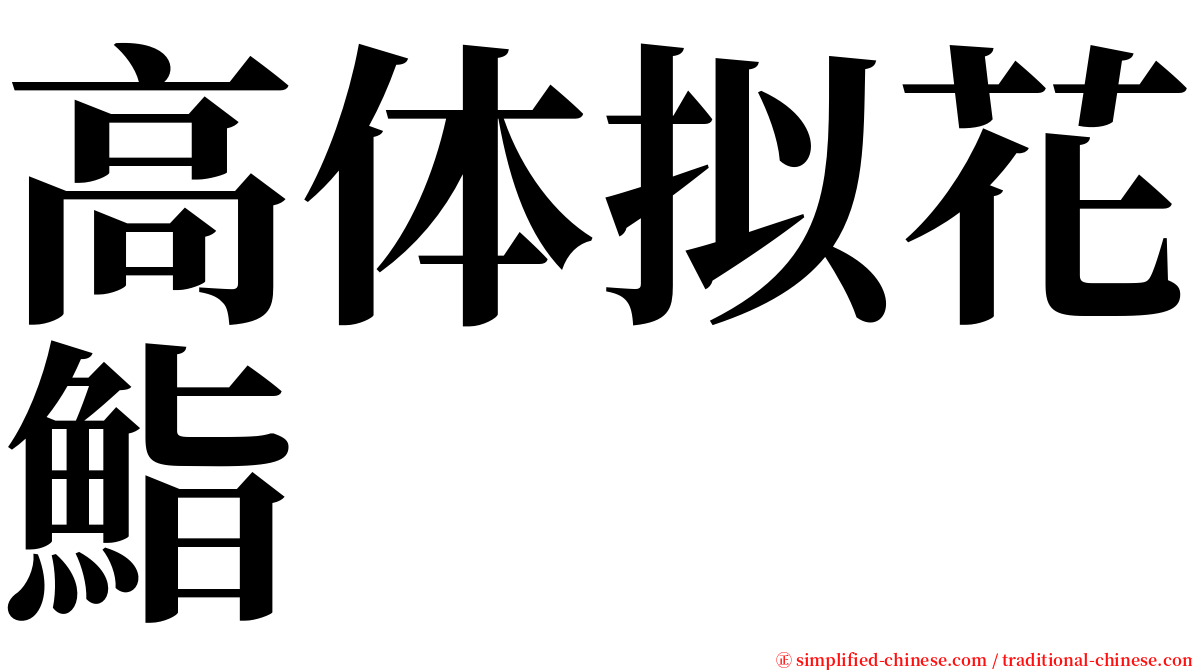 高体拟花鮨 serif font