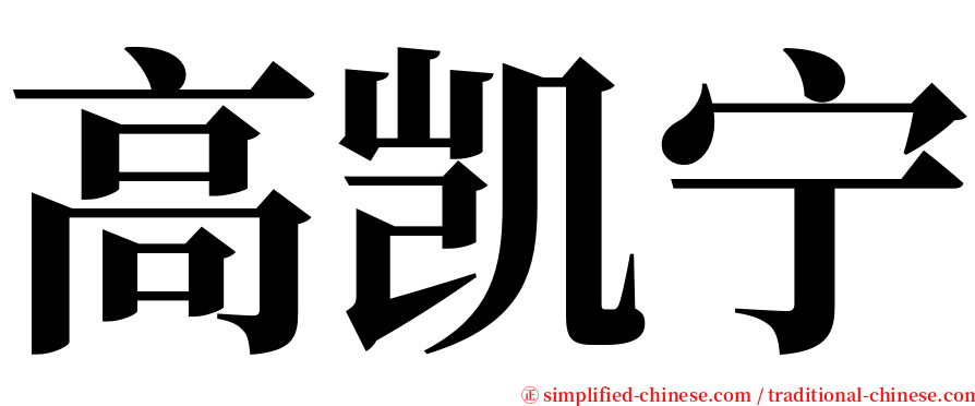 高凯宁 serif font