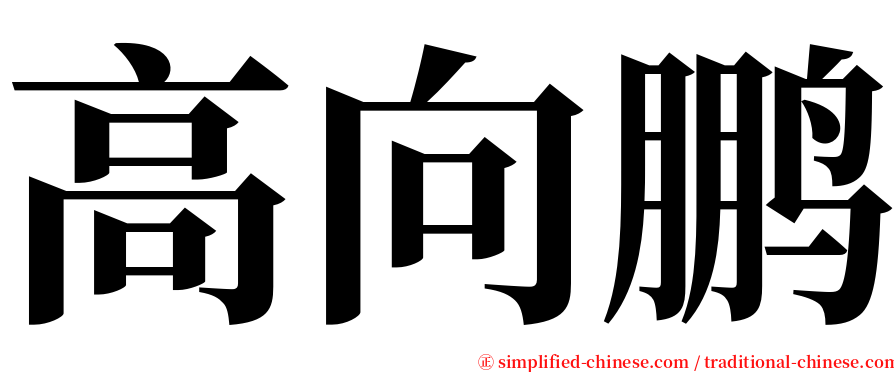 高向鹏 serif font