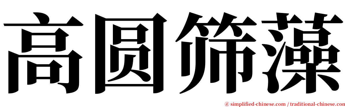 高圆筛藻 serif font