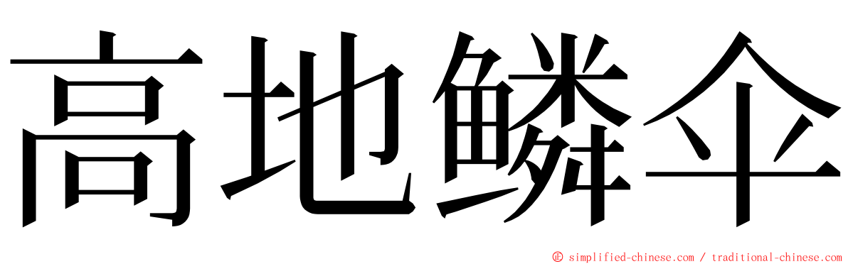 高地鳞伞 ming font