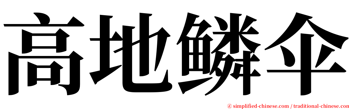 高地鳞伞 serif font