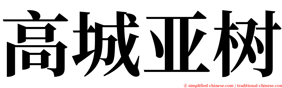 高城亚树 serif font