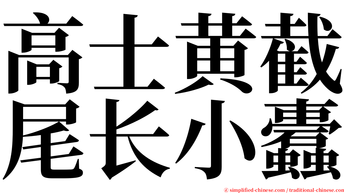 高士黄截尾长小蠹 serif font