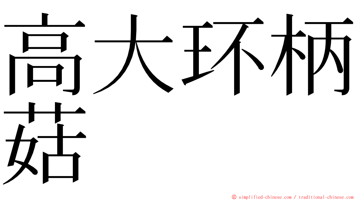 高大环柄菇 ming font