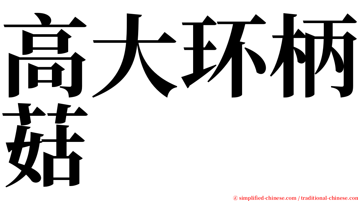 高大环柄菇 serif font