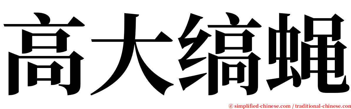 高大缟蝇 serif font