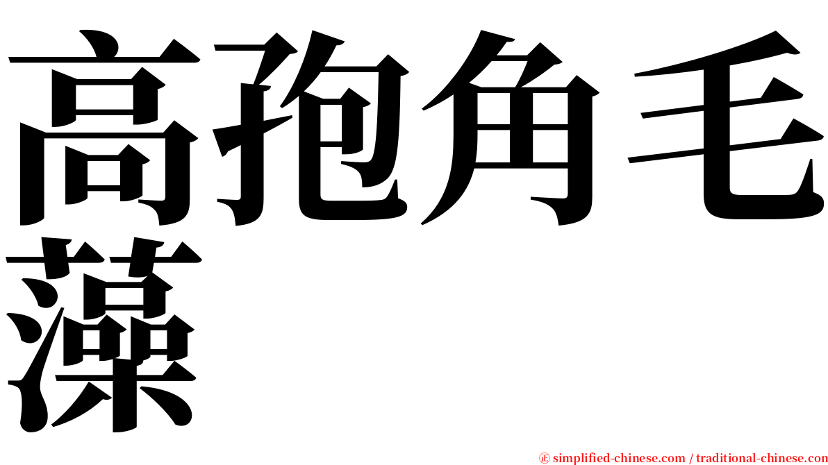 高孢角毛藻 serif font