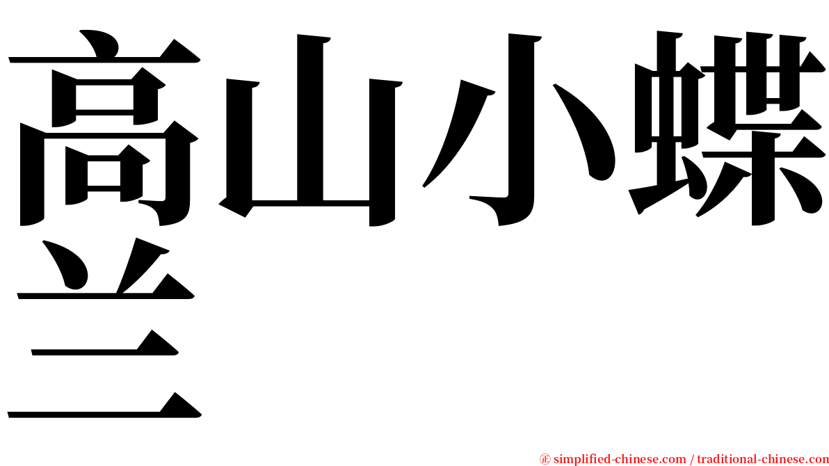 高山小蝶兰 serif font