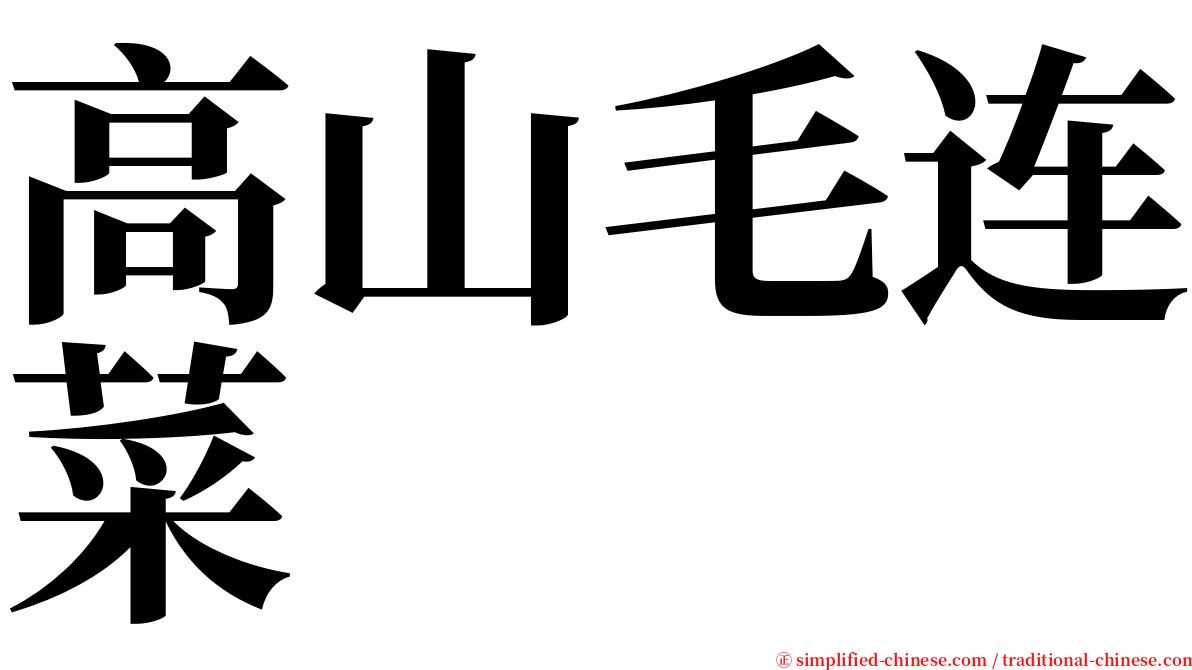 高山毛连菜 serif font