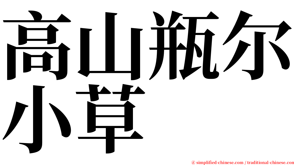 高山瓶尔小草 serif font