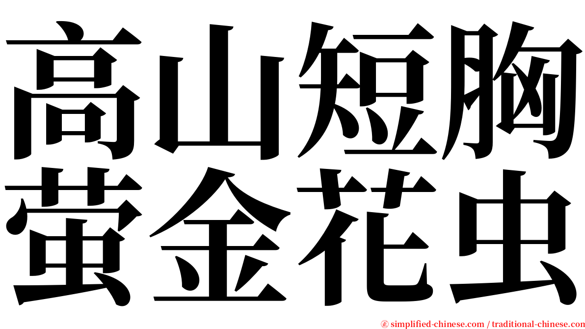 高山短胸萤金花虫 serif font