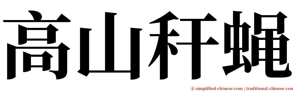 高山秆蝇 serif font