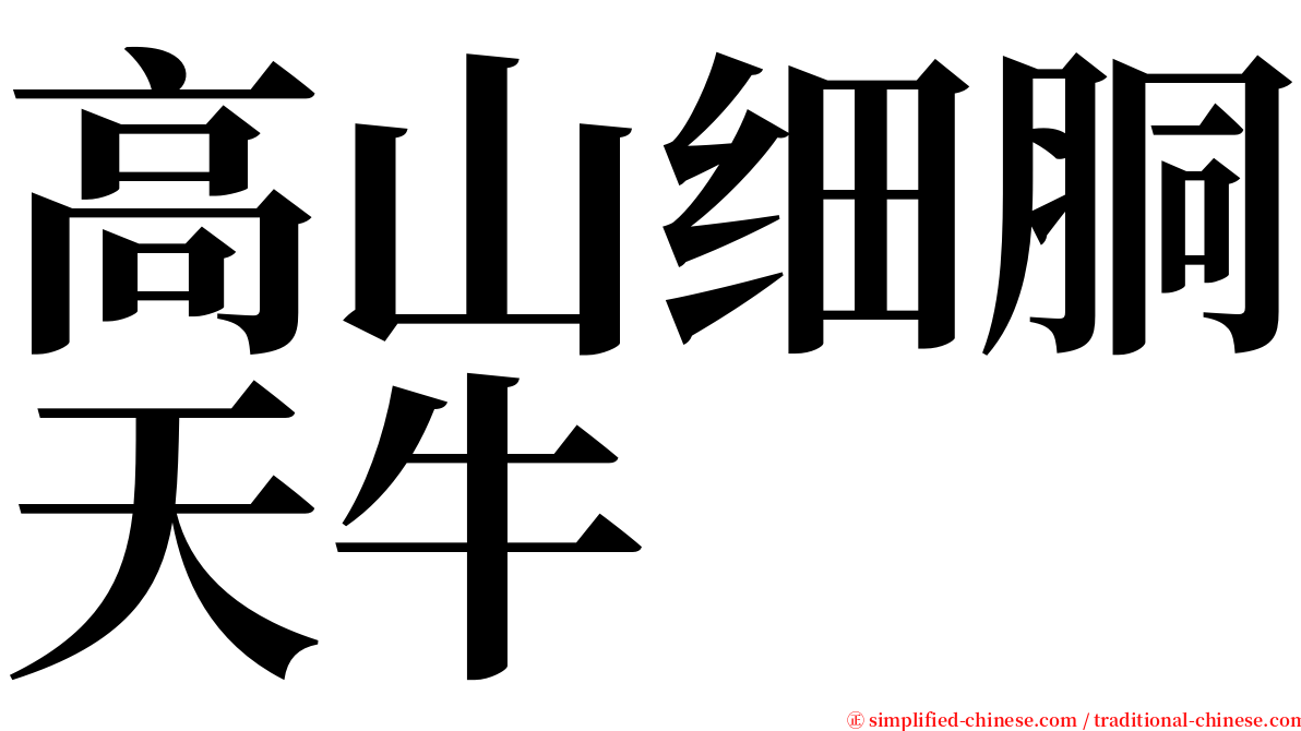 高山细胴天牛 serif font