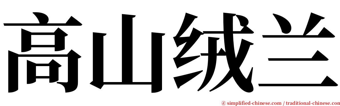 高山绒兰 serif font