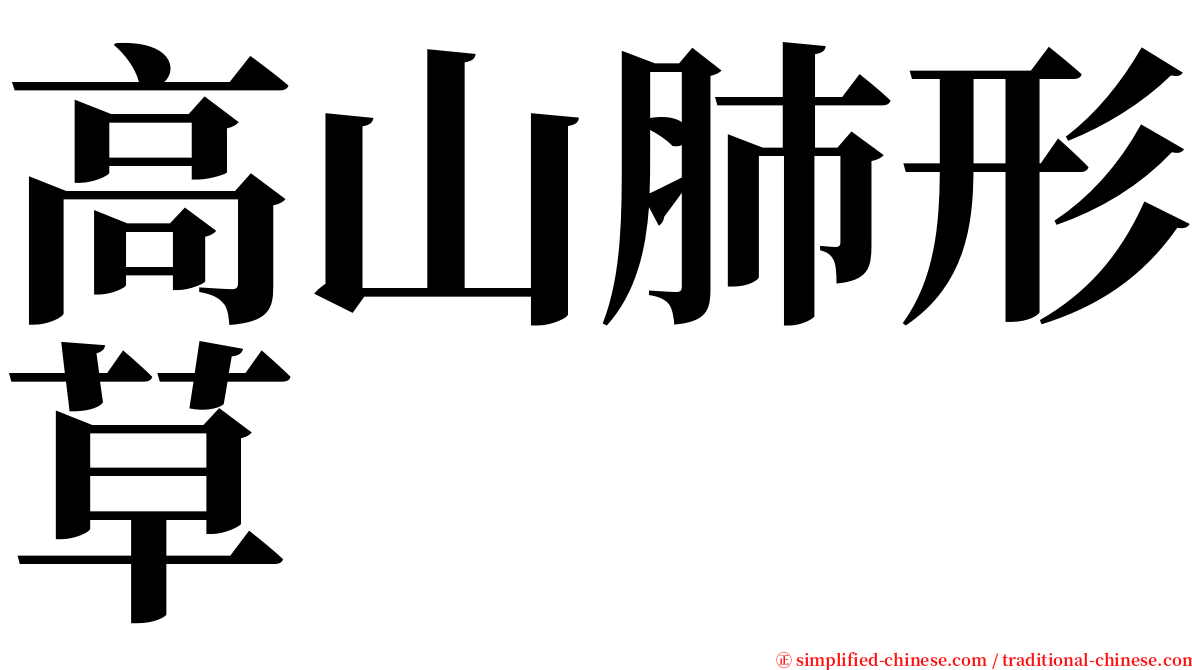 高山肺形草 serif font