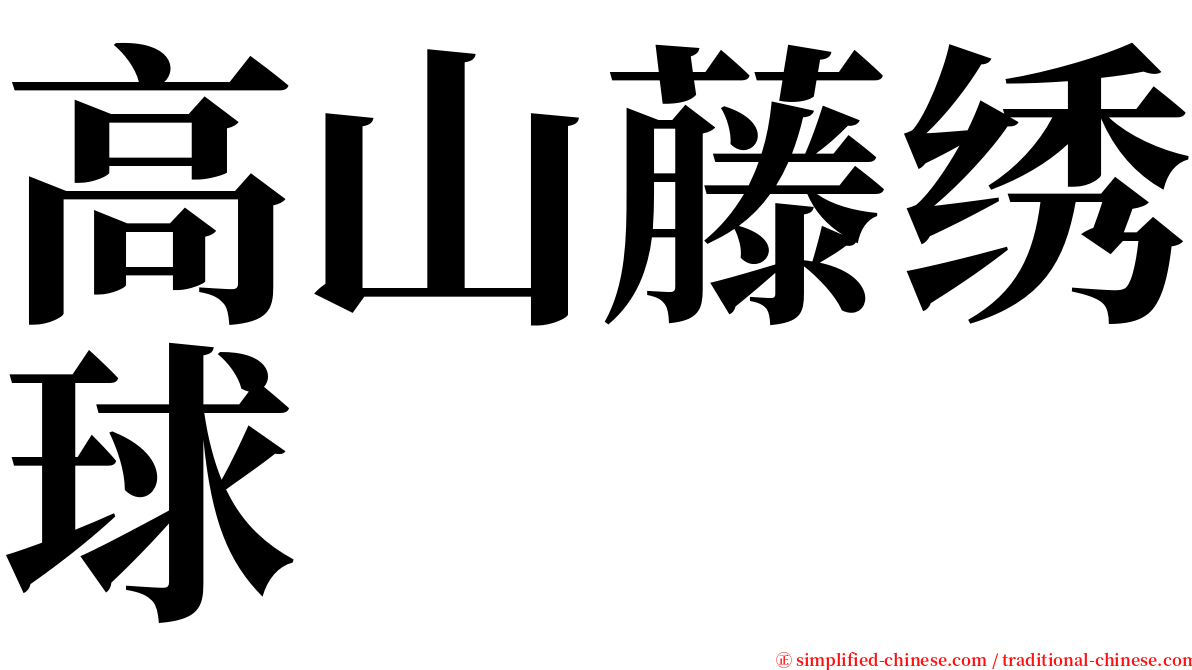 高山藤绣球 serif font