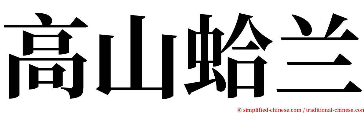 高山蛤兰 serif font