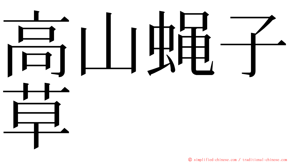 高山蝇子草 ming font