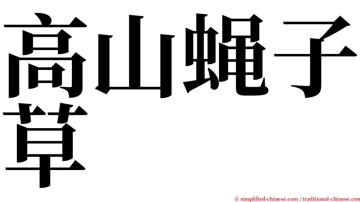 高山蝇子草 serif font