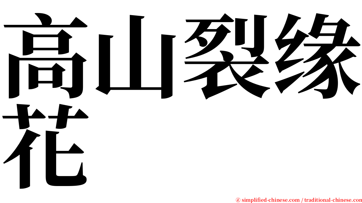 高山裂缘花 serif font