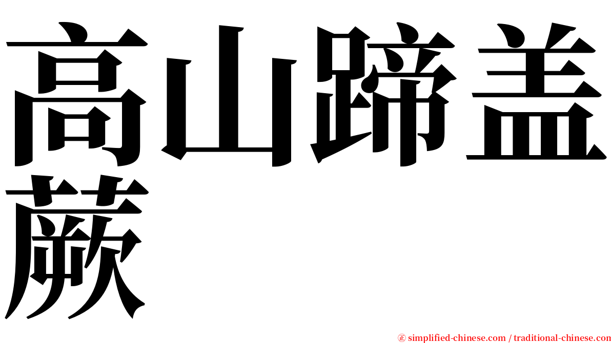 高山蹄盖蕨 serif font